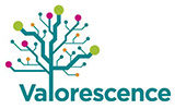 Valorescence